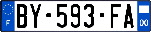 BY-593-FA