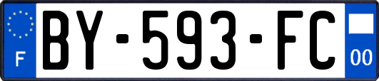 BY-593-FC