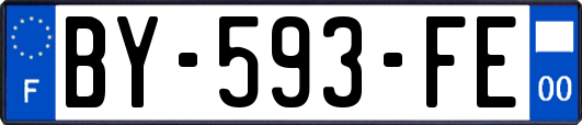 BY-593-FE