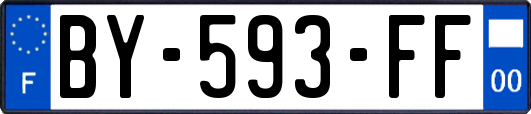 BY-593-FF