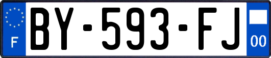 BY-593-FJ