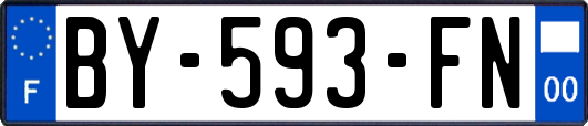 BY-593-FN