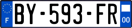 BY-593-FR