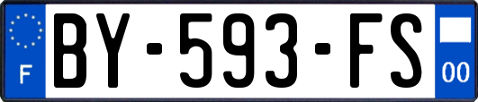 BY-593-FS