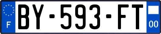 BY-593-FT