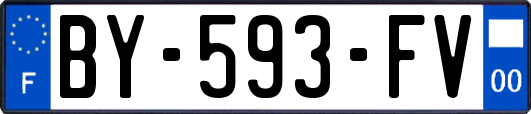 BY-593-FV