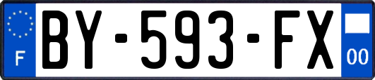 BY-593-FX