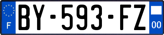 BY-593-FZ