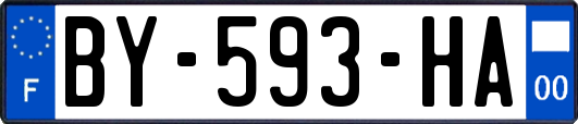 BY-593-HA