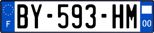 BY-593-HM