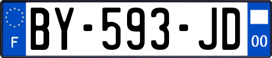 BY-593-JD