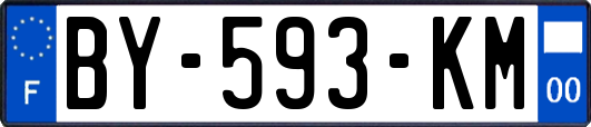 BY-593-KM