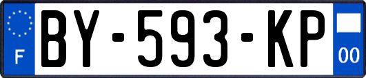 BY-593-KP