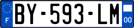 BY-593-LM