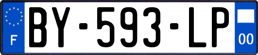 BY-593-LP