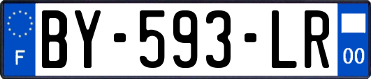 BY-593-LR