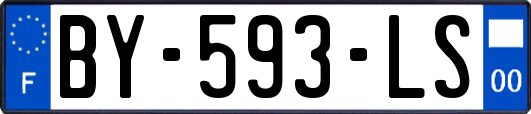 BY-593-LS