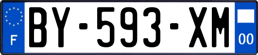 BY-593-XM