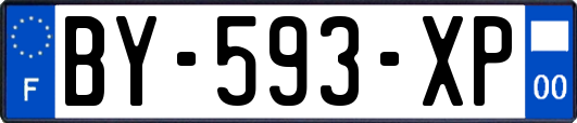 BY-593-XP
