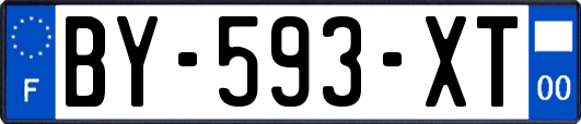 BY-593-XT