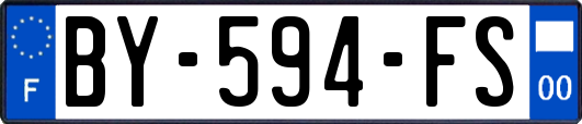 BY-594-FS