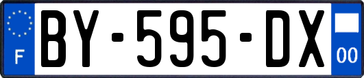 BY-595-DX