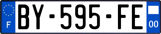 BY-595-FE