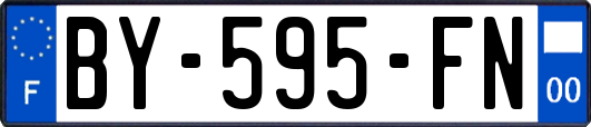 BY-595-FN