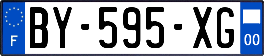 BY-595-XG