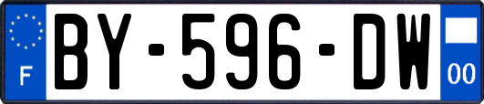 BY-596-DW