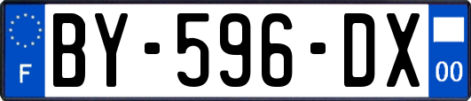 BY-596-DX
