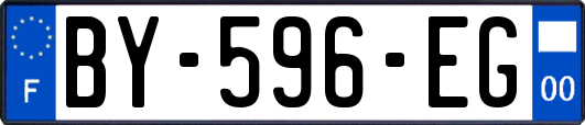BY-596-EG
