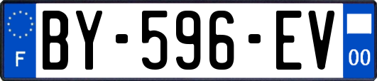 BY-596-EV