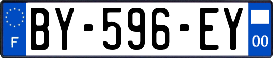 BY-596-EY