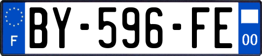 BY-596-FE