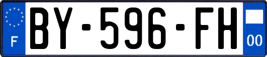BY-596-FH