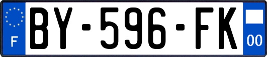BY-596-FK