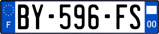 BY-596-FS