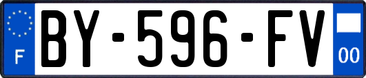 BY-596-FV