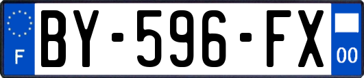 BY-596-FX