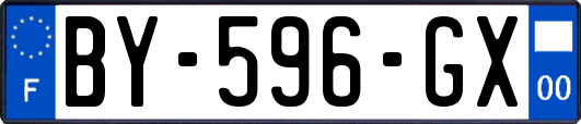 BY-596-GX
