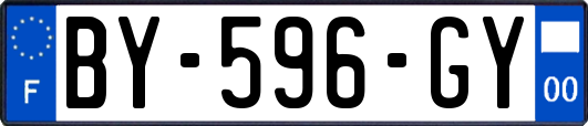BY-596-GY