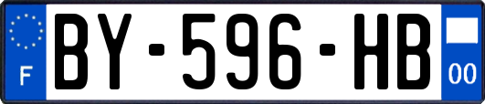BY-596-HB