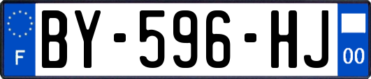 BY-596-HJ