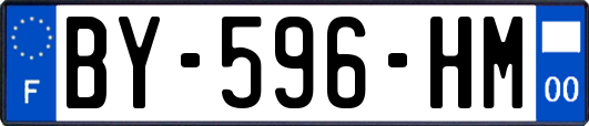 BY-596-HM
