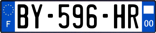 BY-596-HR