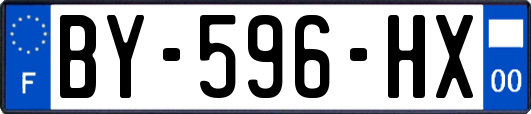 BY-596-HX