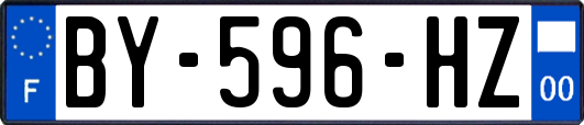 BY-596-HZ