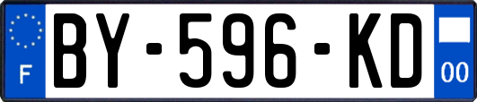 BY-596-KD