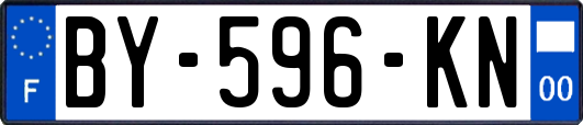 BY-596-KN